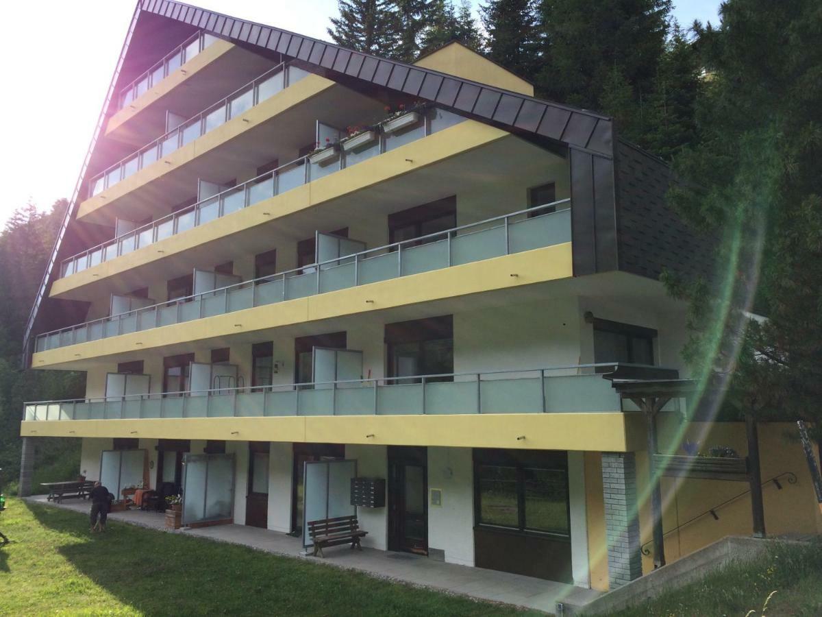 Apartment Laerchenhof Nr 8 Innerkrems